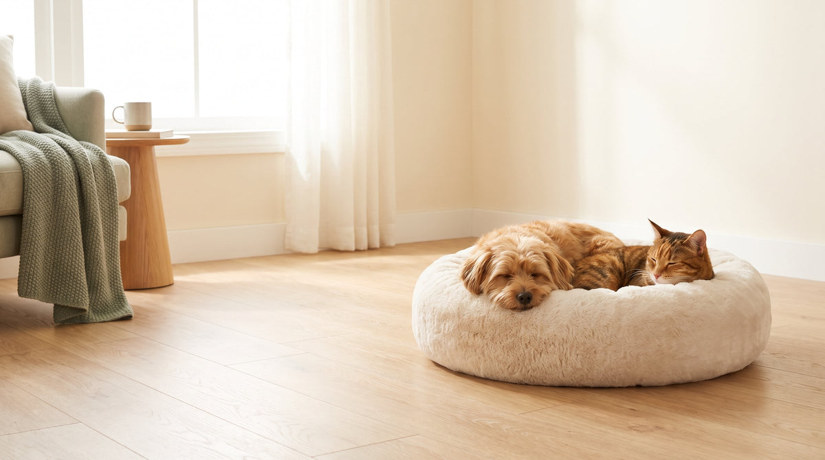 Dog and cat asleep together in a cream calming donut bed
